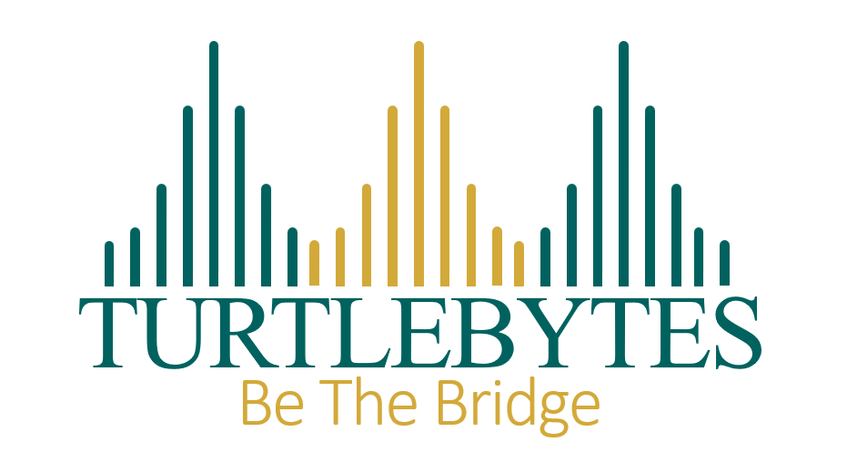 www.turtlebytes.in